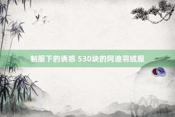 制服下的诱惑 530块的阿迪羽绒服