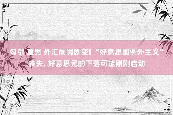 勾引 直男 外汇阛阓剧变! “好意思国例外主义”丧失， 好意思元的下落可能刚刚启动